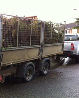 Garden Clearance by Marram Gardens